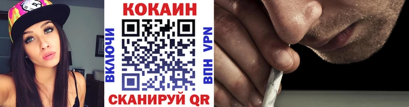 где купить наркоту  Богородицк  МЕГА как войти  COCAIN VHQ 