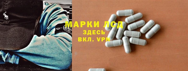 крисы Покачи