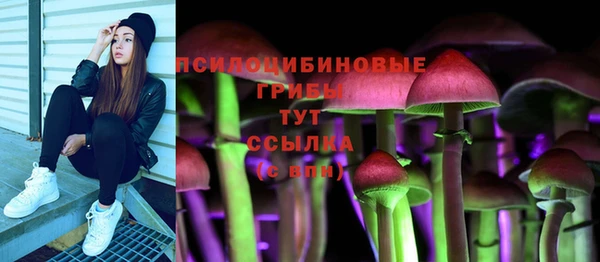 крисы Покачи