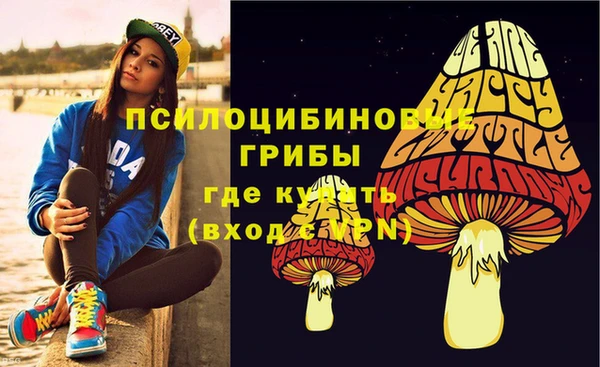 дурь Покров