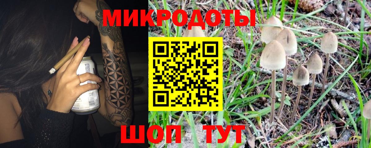 Галлюциногенные грибы мухоморы  Богородицк  Псилоцибиновые грибы Psilocybine cubensis 