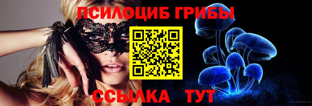 Галлюциногенные грибы Psilocybe  Вход с VPN  Богородицк  Галлюциногенные грибы мицелий 